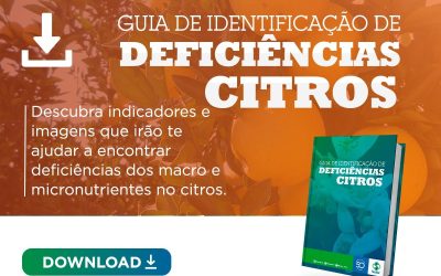 [Guia] Deficiências no Citros