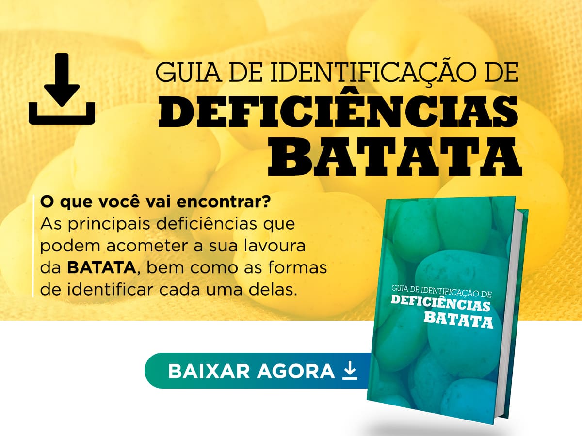Deficiencia-Batata