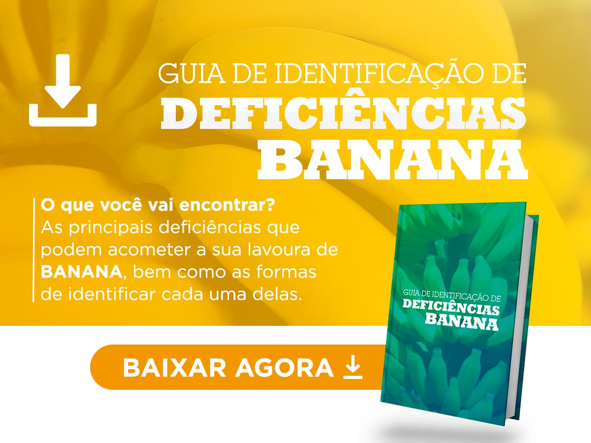 Deficiencia-Banana