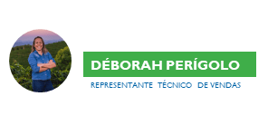 Déborah Perígolo - autora do texto