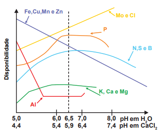 Disponibilidade de nutrientes em função do pH do solo. 