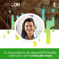 A Importância do Desenvolvimento Radicular
