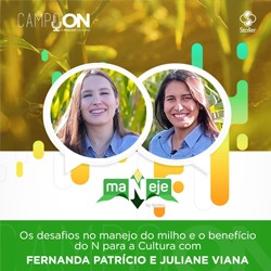 Podcast Agro: Desafios no Manejo do Milho e Uso de Nitrogênio