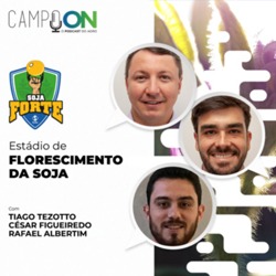 Soja Forte: Como superar os desafios do florescimento da soja