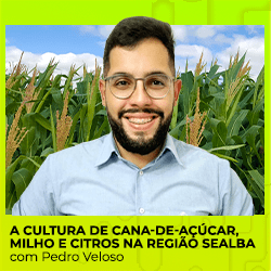 Região SEALBA: a cultura da cana, milho e citros