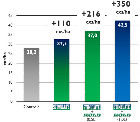 stimulate-mais-hold-produtividade