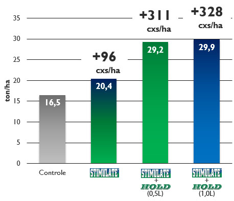 stimulate-mais-hold-produtividade2
