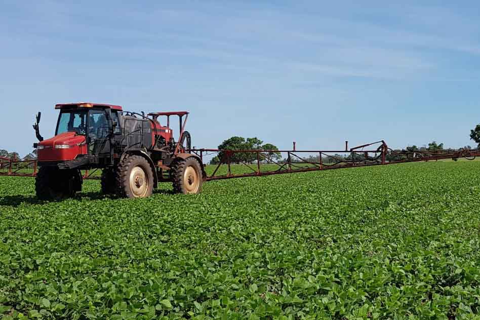 Conheça as últimas tendências em nutrição vegetal