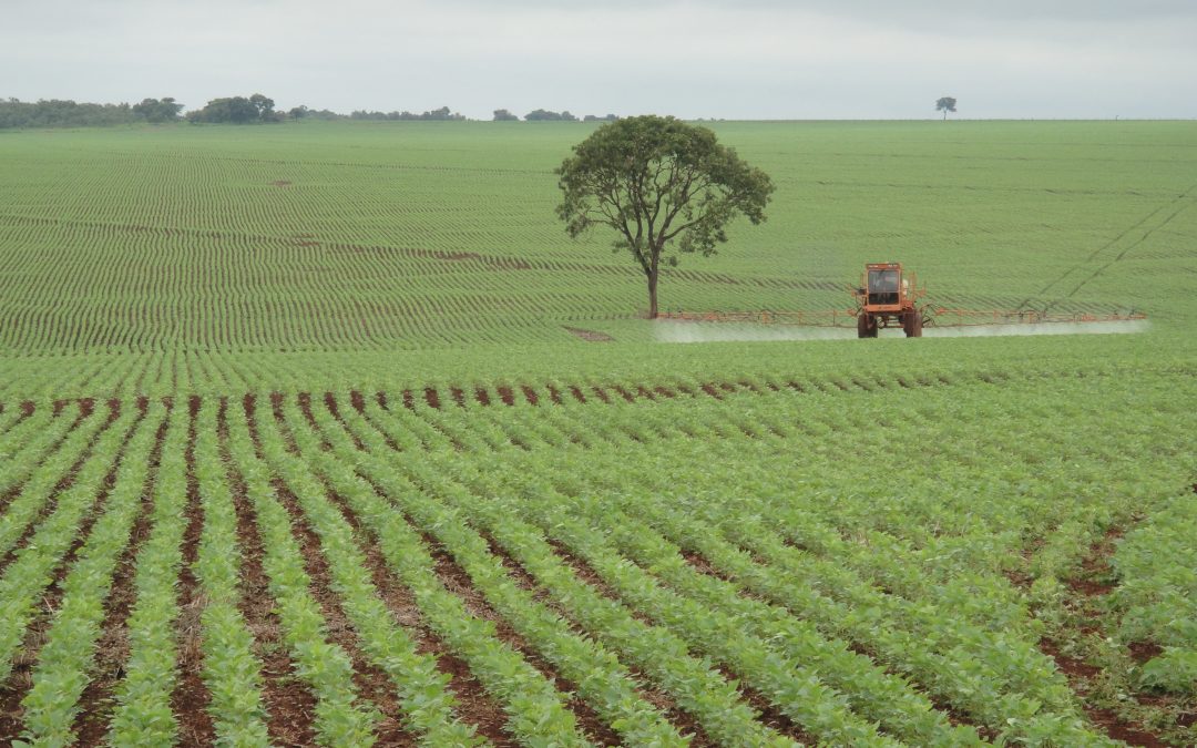 Otimizando o uso da água na agricultura de precisão