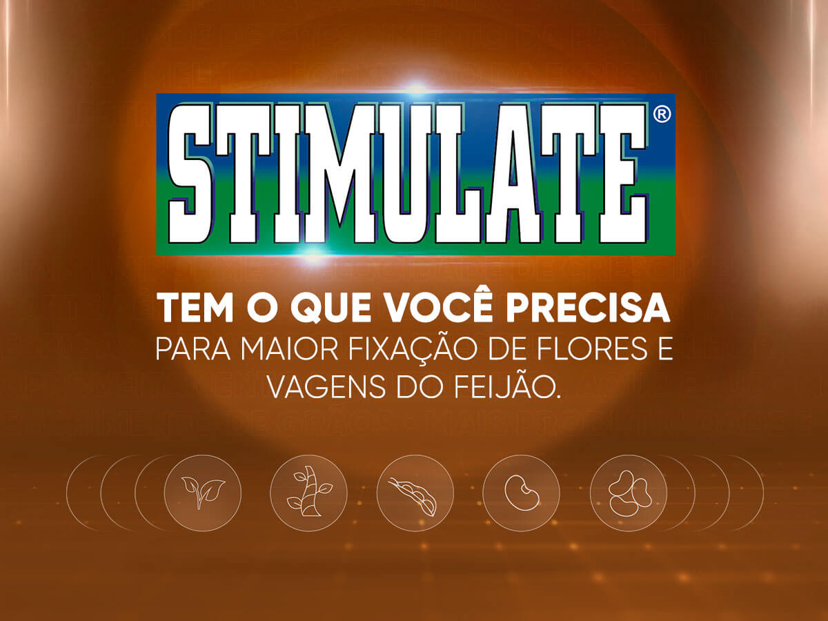 Miniatura Stimulate Feijão (1)