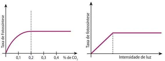 Influência da concentração de CO2 e da intensidade luminosa sobra a taxa fotossintética de plantas