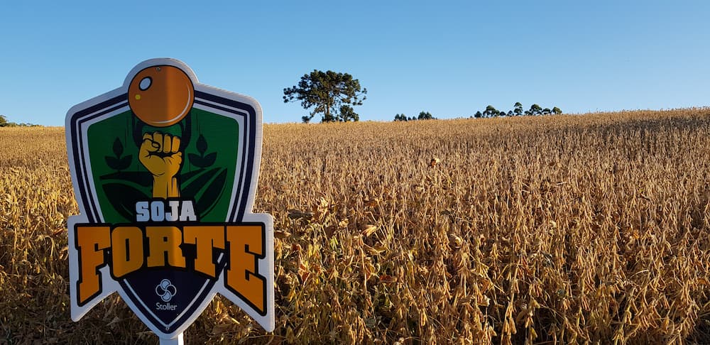 Como Produtores de Soja do Oeste do Paraná Superaram a Seca?