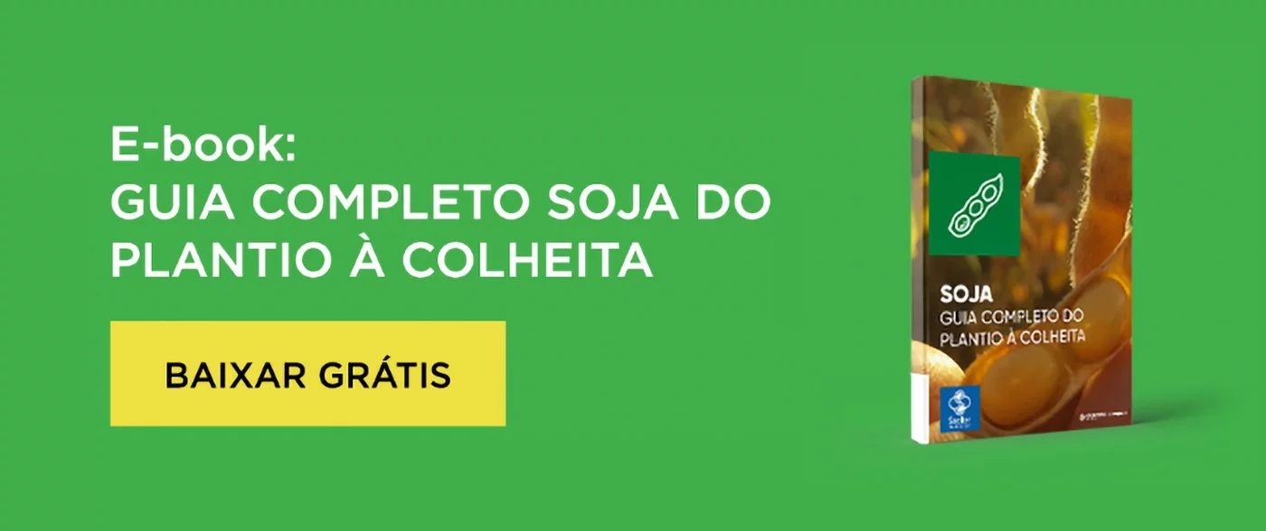 banner-ebook-mobile